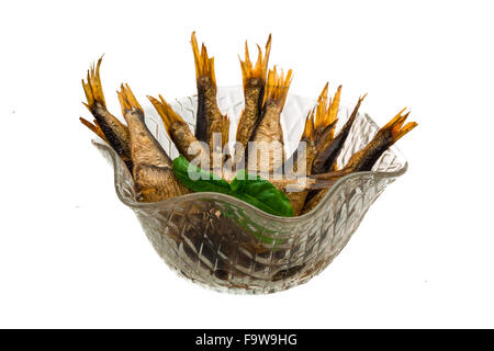 Conserve di spratto con basilico isolato Foto Stock