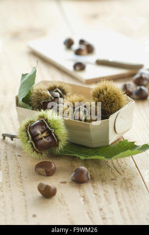 Scatola con castagne su legno Foto Stock