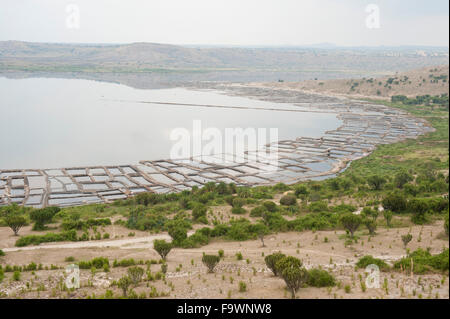 Miniere di sale a Katwe Crater Lake, Queen Elizabeth National Park, Uganda Foto Stock