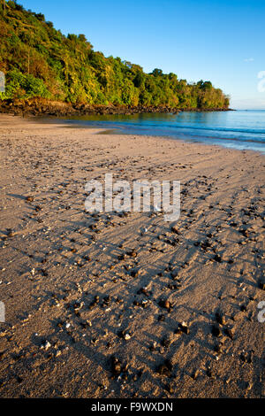 Bella la mattina presto la luce in corrispondenza di Coiba island national park, Pacific Coast, provincia di Veraguas, Repubblica di Panama. Foto Stock