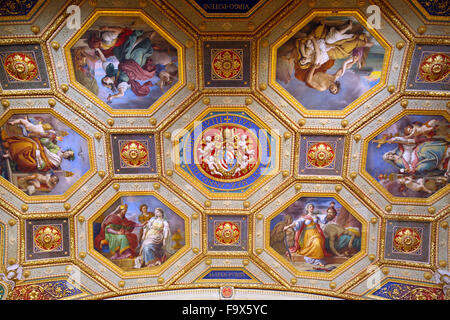 Sala della Immacolata Concezione nel Museo del Vaticano. Foto Stock