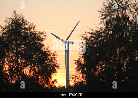 A tre pale della turbina di vento al tramonto attraverso alcuni alberi Foto Stock