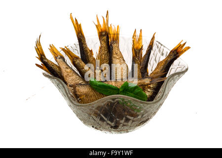 Conserve di spratto con basilico isolato Foto Stock