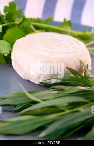 Formaggio di capra con estragon e prezzemolo Foto Stock