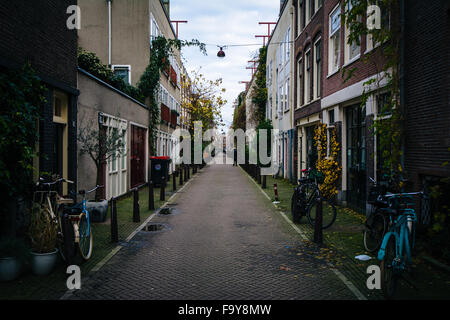 Uno stretto vicolo in Amsterdam, Paesi Bassi. Foto Stock