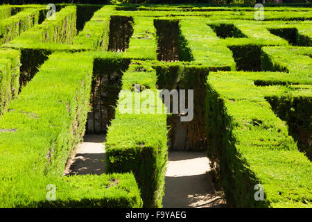 Vista dettagliata del labirinto presso il Parc del Laberint de Horta di Barcellona. La Catalogna, Spagna Foto Stock