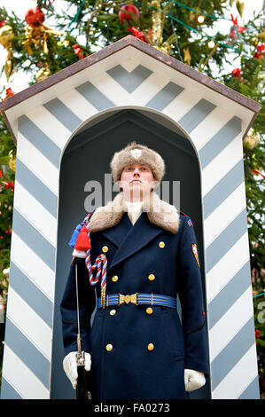 Permanente di guardia in garitta al Castello di Praga, Castello, Repubblica Ceca Foto Stock