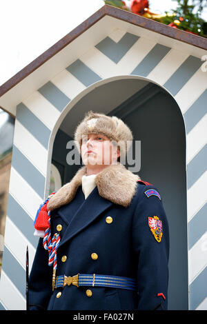 Permanente di guardia in garitta al Castello di Praga, Castello, Repubblica Ceca Foto Stock