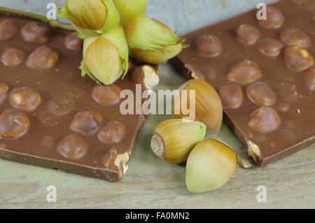 Le nocciole in guscio e cioccolato Foto Stock