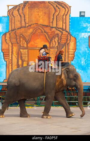 Elefante pagando trasporto passeggeri per turismo passare un tempio di grandi dimensioni disegno presso l annuale di Surin Roundup di elefante Foto Stock