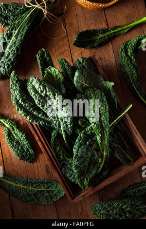 Verde biologico Lacinato Kale pronto a mangiare Foto Stock