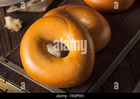 In casa pianura bagel uovo pronto a mangiare Foto Stock