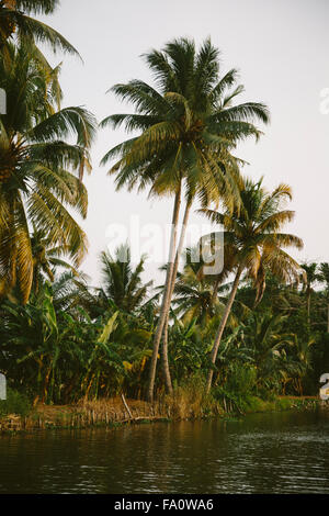 Backwaters nel Kerala, India. Le lagune sono una rete estesa di 41 ovest ad incastro che scorre fiumi, laghi e canali th Foto Stock