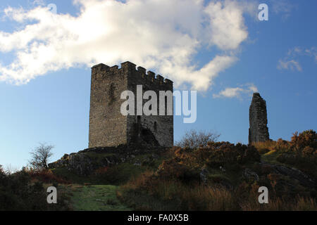 Autunno a castello Dolwydellan Betwsy y Coed Conwy Wales Foto Stock