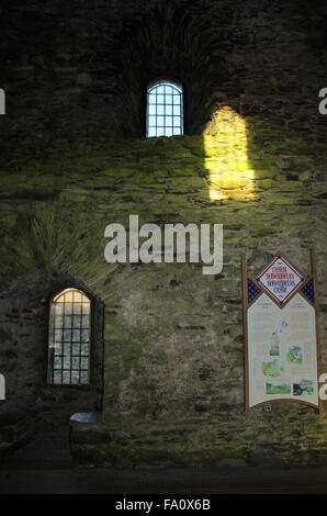 Autunno a castello Dolwydellan Betwsy y Coed Conwy Wales Foto Stock