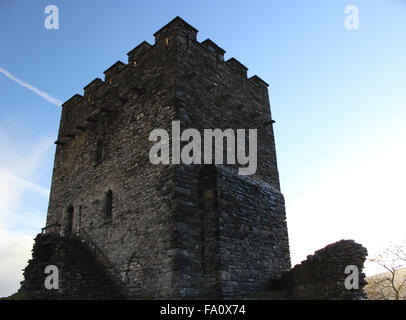 Autunno a castello Dolwydellan Betwsy y Coed Conwy Wales Foto Stock