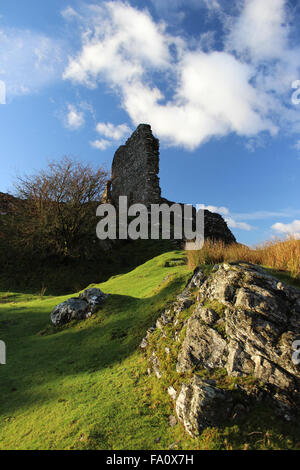 Autunno a castello Dolwydellan Betwsy y Coed Conwy Wales Foto Stock