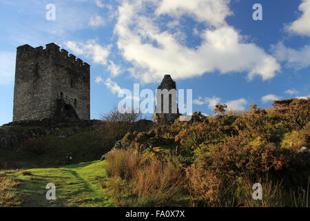 Autunno a castello Dolwydellan Betwsy y Coed Conwy Wales Foto Stock