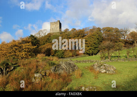 Autunno a castello Dolwydellan Betwsy y Coed Conwy Wales Foto Stock