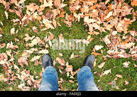 Piedini maschio in blue jeans e scarpe nere in piedi sul parco verde erba con foglie autunnali, prospettiva in prima persona Foto Stock