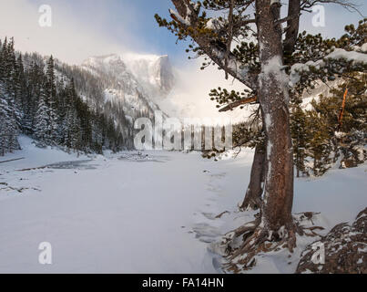 La mattina presto nevicata fresca nelle Montagne Rocciose. Foto Stock