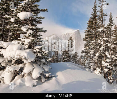 La mattina presto nevicata fresca nelle Montagne Rocciose. Foto Stock