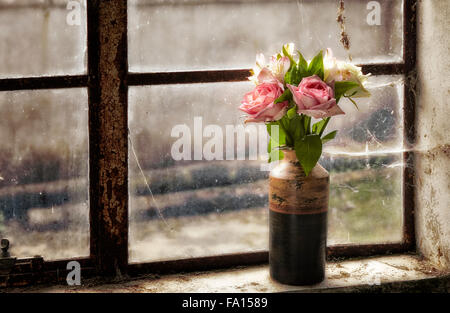 Rose sbiadita fotografato in un grungy impostazione Foto Stock