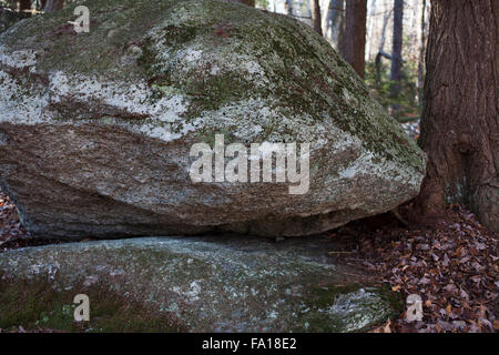 Il pupazzo di neve di grandi rocce della montagna di Savoia la Foresta di Stato nel tardo autunno, Savoia, Massachusetts. Foto Stock