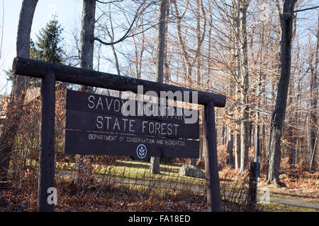 Segno al Savoy Mountain state forest a nord di stagno, Savoia, MA. Questo bosco è stato costruito mediante la conservazione civile Corp. Foto Stock