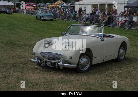 Austin Healey Rana 'occhio' Sprite su parade presso un classico auto show Foto Stock