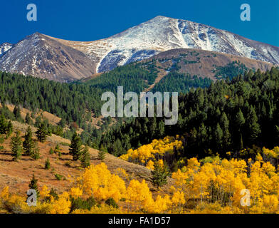 I colori autunnali di seguito garfield montagna in lima picchi vicino a lima, montana Foto Stock