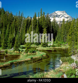 Little Rock Creek sotto el capitan nella Bitterroot Mountains vicino darby, montana Foto Stock