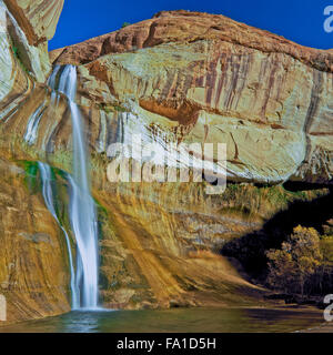 Abbassare calf creek falls in autunno vicino a Escalante, Utah Foto Stock