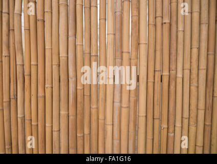 Il bambù scherma, utilizzando bambù piastrelle per un pannello. Foto Stock