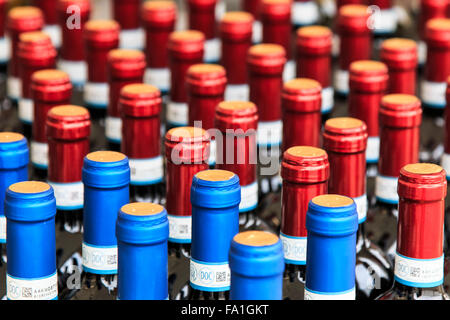 Moncalvo, Italia - Ottobre: 18,2015 Closeup molte bottiglie di vino presso la Fiera del Tartufo di Moncalvo Foto Stock