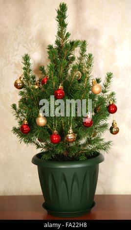 Piccolo albero di Natale Foto Stock