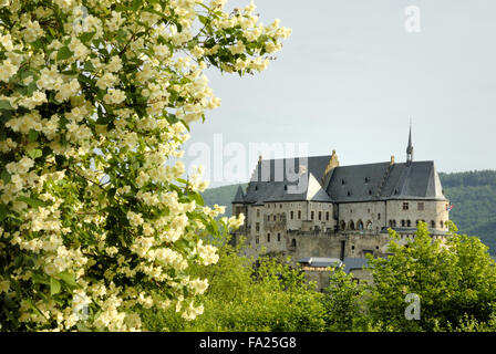 Il vecchio castello di Vianden in Lussemburgo,l'Europa Foto Stock