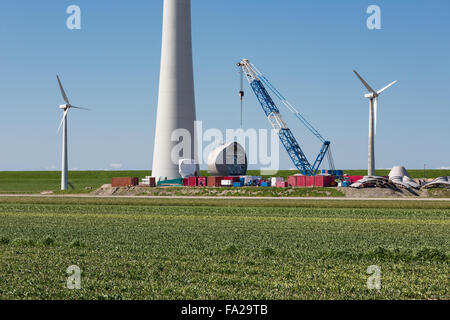 Terreni agricoli olandese con la sostituzione delle vecchie turbine eoliche attraverso enormi nuove turbine eoliche Foto Stock