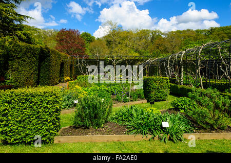 Baciata dal sole di alberi maestosi formano un sfondo colorato per la NEAT linee formale dei singoli lotti in Physic Garden Foto Stock