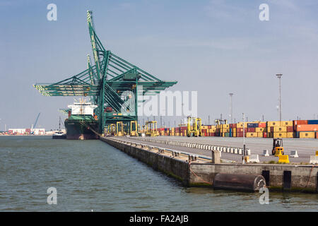 Anversa, Belgio - agosto 13: Harbour con gru portuali e i grandi vettori di trasporto merci su agosto 13, 2015 in mare porto di Anversa Foto Stock