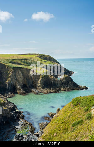 Vista da Pembrokeshire sentiero costiero di St Brides Bay, vicino a St David's, Pembrokeshire, Wales, Regno Unito Foto Stock