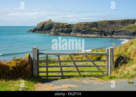 Vista da Pembrokeshire sentiero costiero di St Brides Bay e Abereiddy, vicino a St David's, Pembrokeshire, Wales, Regno Unito Foto Stock