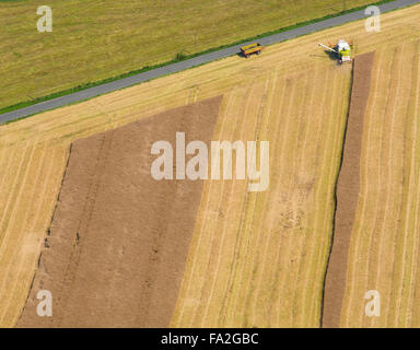 Vista aerea, il raccolto di grano con una mietitrebbia in un campo di Suttrop, Warstein, Sauerland. Soester Plain, Nord Reno Westp Foto Stock