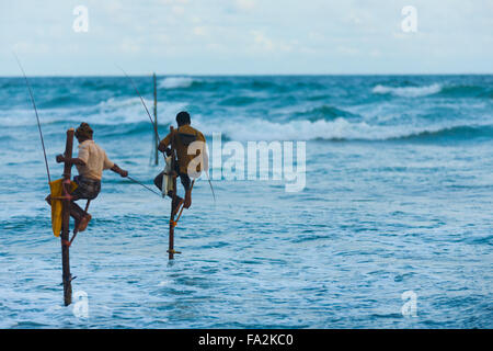 Il governo dello Sri Lanka stilt pescatori seduta elevata al di sopra di acqua di pesca per la cattura di piccole dimensioni in un modo tradizionale e circondato da una vasta o Foto Stock