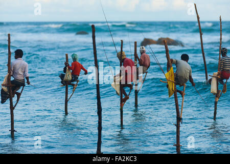 Molti dello Sri Lanka stilt pescatori cattura di pesci piccoli in un unico metodo tradizionale seduta alta, innalzata sopra l'acqua Foto Stock