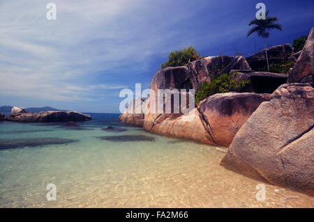 Hudson (Coolah) Isola, Family Islands National Park, vicino a Mission Beach, Queensland, Australia Foto Stock