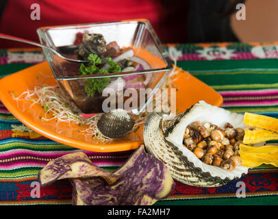 Deliziosi frutti di mare ecuadoriana, cebiche Foto Stock