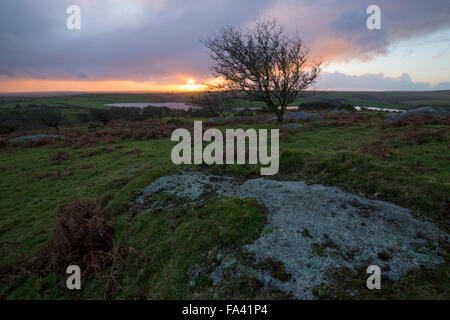 Sun impostazione su Bodmin Moor dalle pendici del Tregarrick Tor su Bodmin Moor Foto Stock