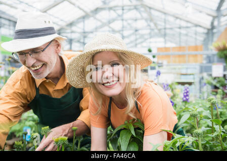 Due giardinieri che lavorano in serra, Augsburg, Baviera, Germania Foto Stock