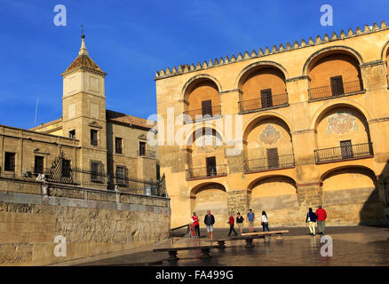 Edifici storici intorno alla Mezquita, la Grande Moschea, Cordoba, Spagna Foto Stock
